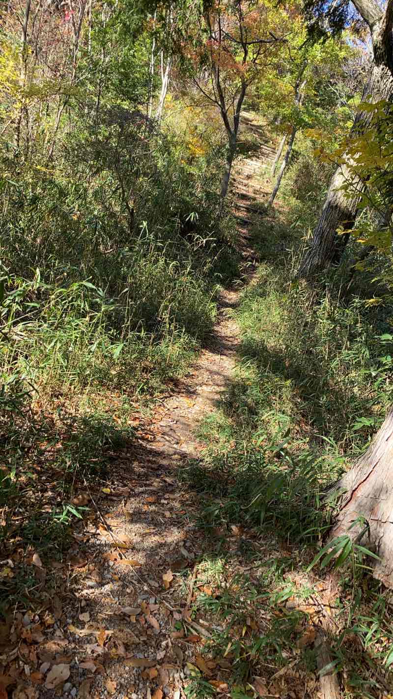 walking near me in 有馬富士公園(出会いのゾーン) in winter