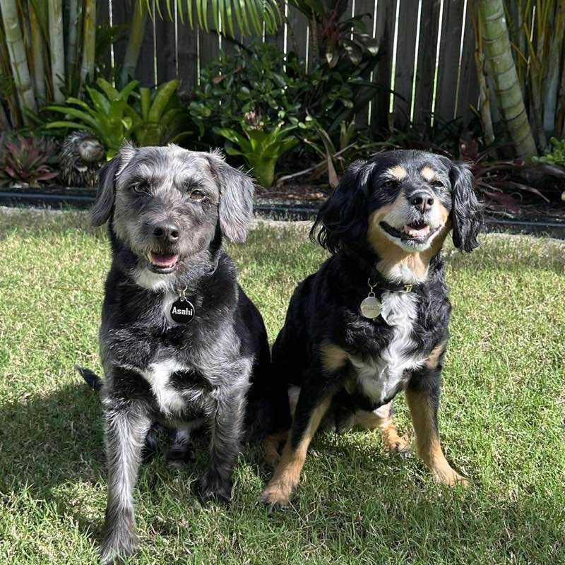 MrBadnewsbaird profile