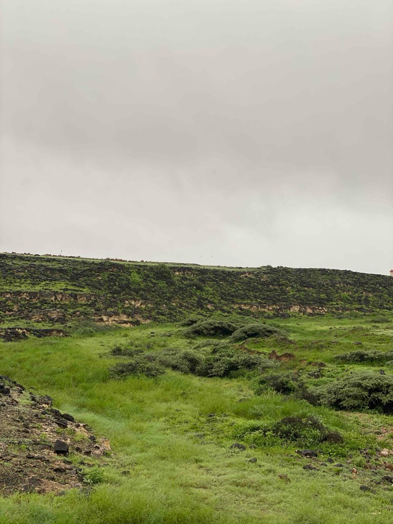 walking near me in Taqah Public Garden in winter