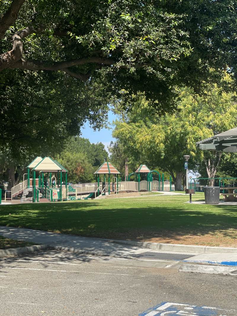 walking near me in Doctor Martin Luther King Junior Memorial Park in summer