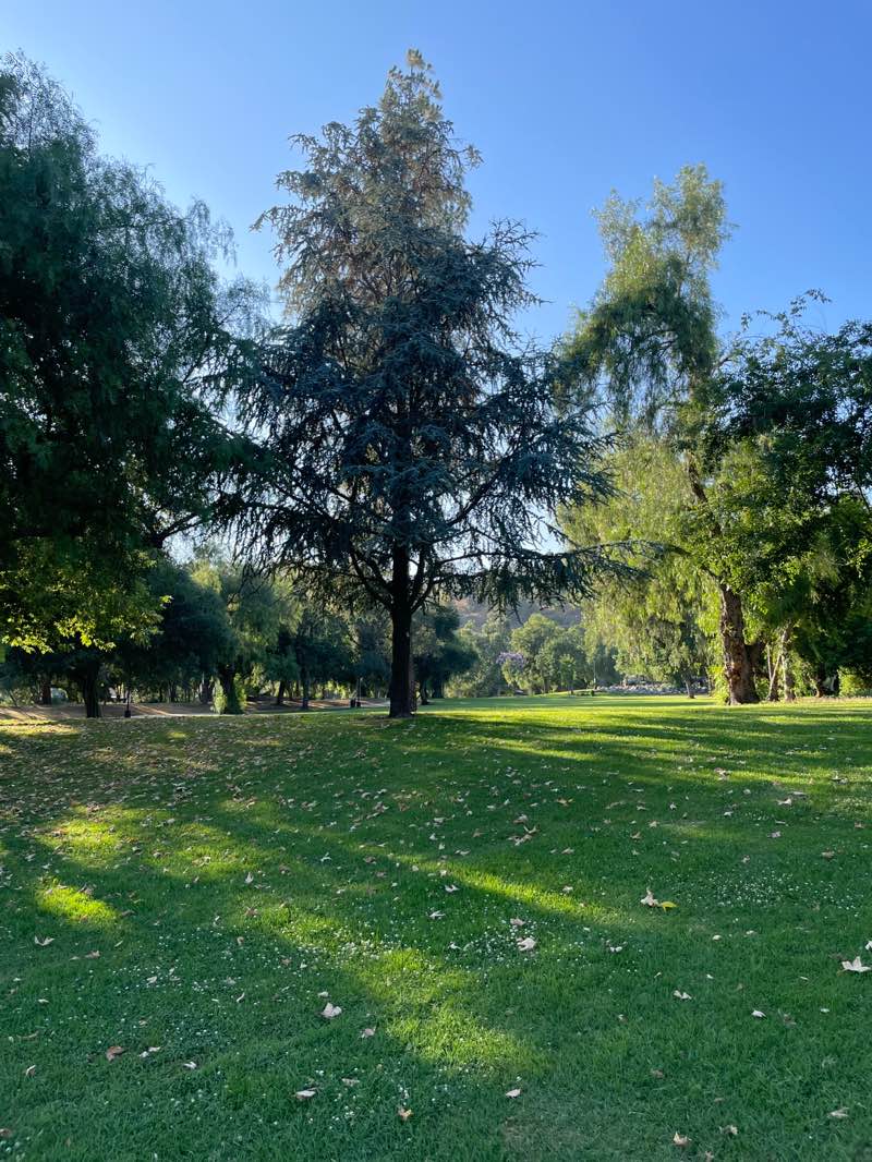 walking near me in Higginbotham Park in summer