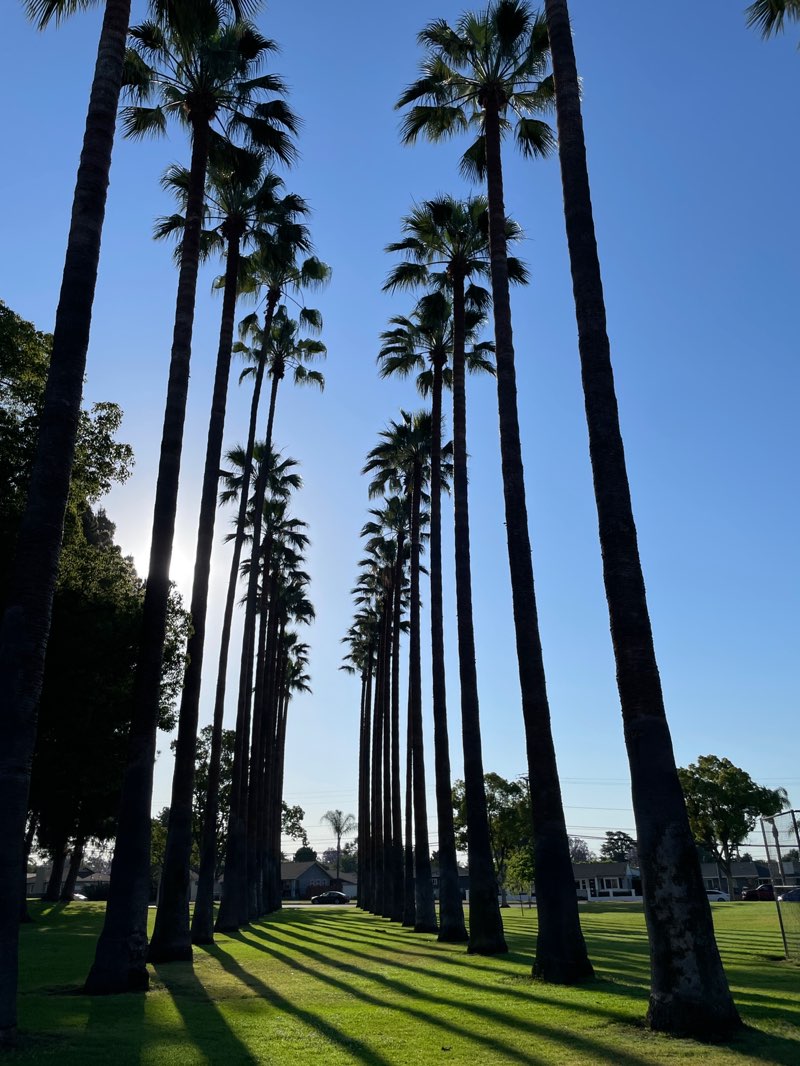 walking near me in Ted Greene Park in summer
