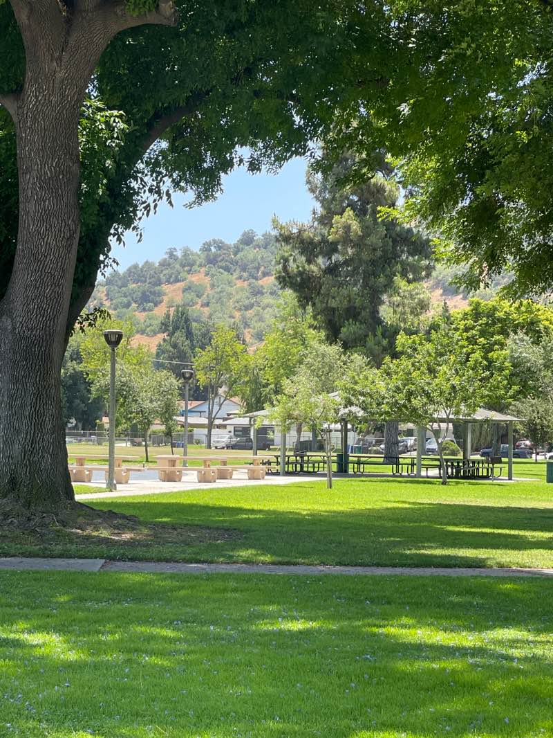 walking near me in Westmont Park in summer