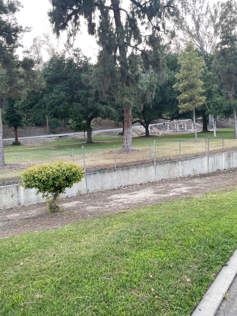 walking near me in Ganesha Park in summer