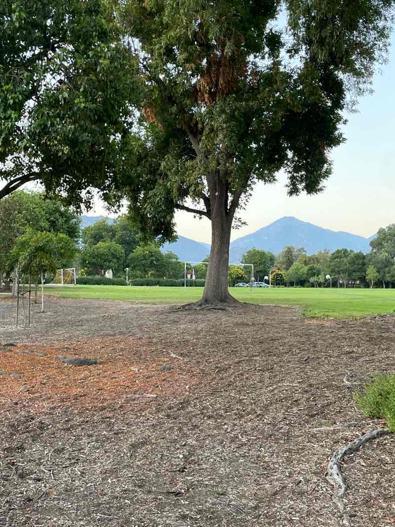 walking near me in Lewis Park in summer