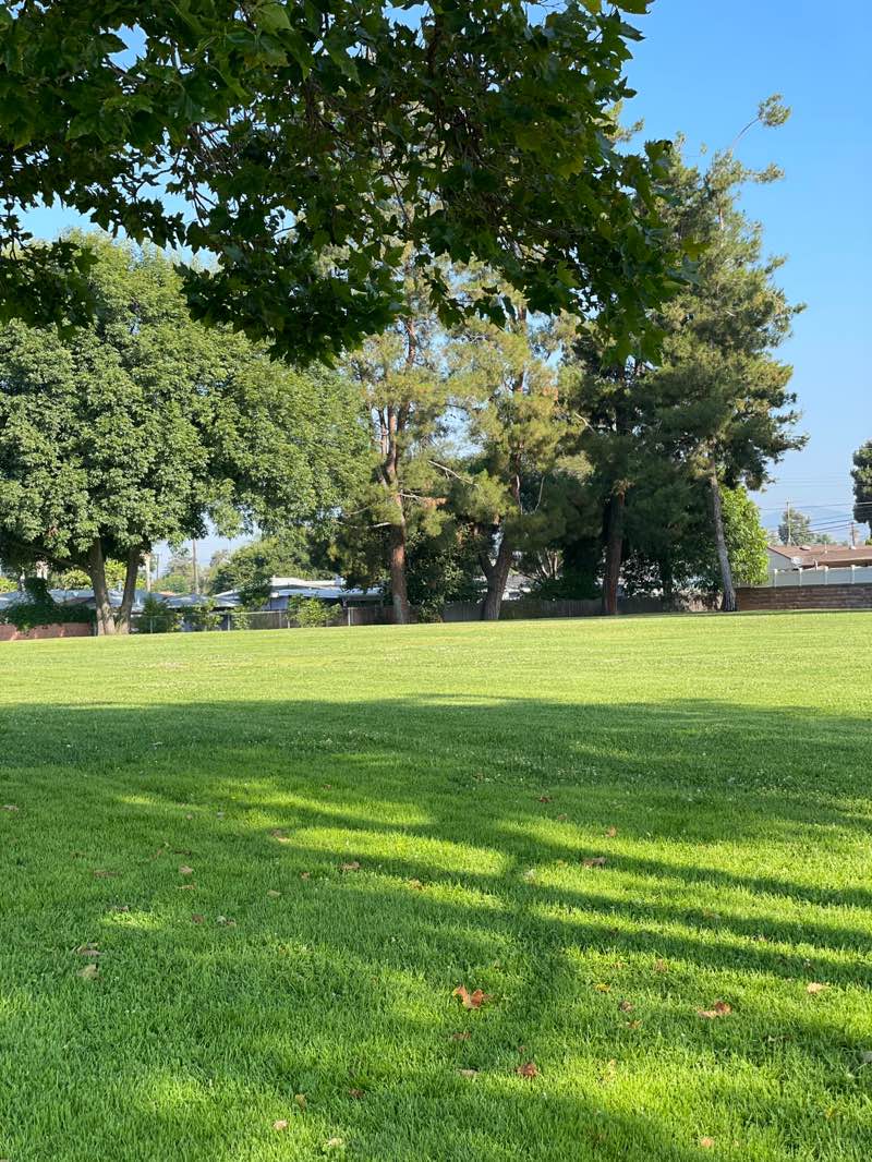 walking near me in Moreno Vista Park in summer