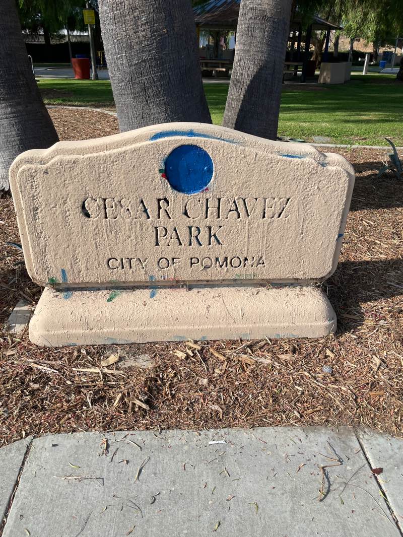 walking near me in Cesar Chavez Park in summer