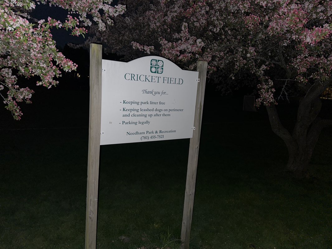 walking near me in Cricket Field in winter