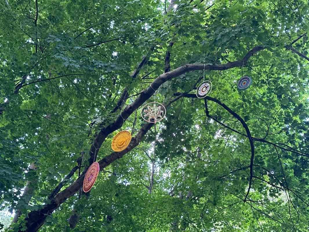 walking near me in Cochituate Brook Reservation in winter