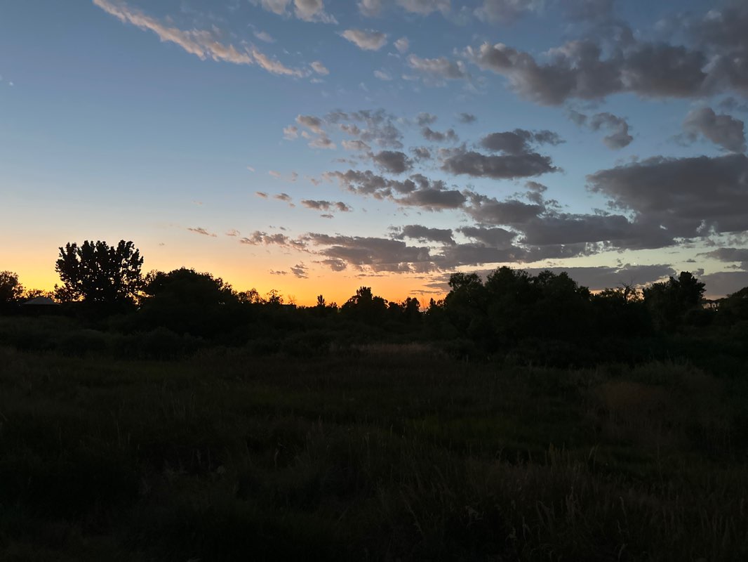 walking near me in Cherry Creek Ecological Park in winter