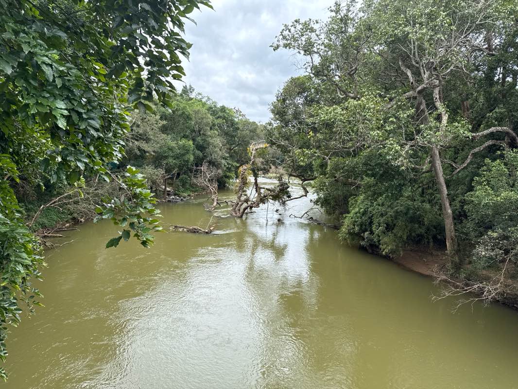 walking near me in Kaveri Nisargadhama in autumn