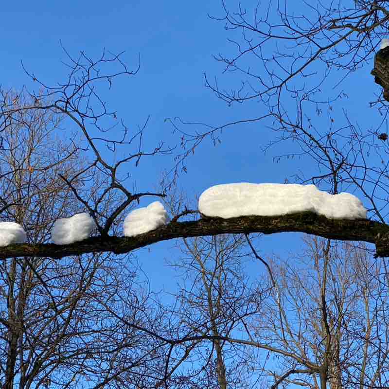 VladF 🇷🇺 post 1