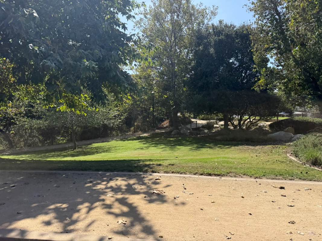 walking near me in Cottonwood Creek Park in autumn