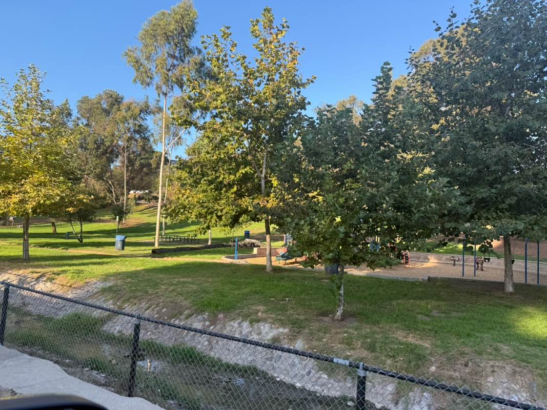 walking near me in Eucalyptus Park in autumn