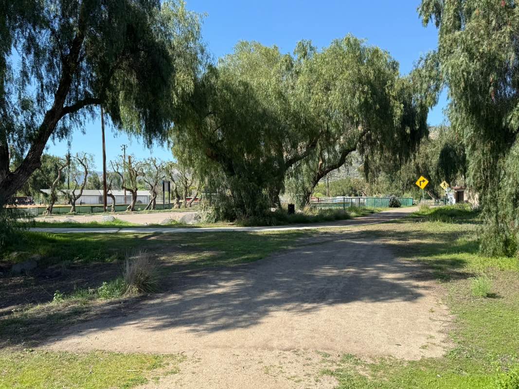 walking near me in Cactus County Park in spring