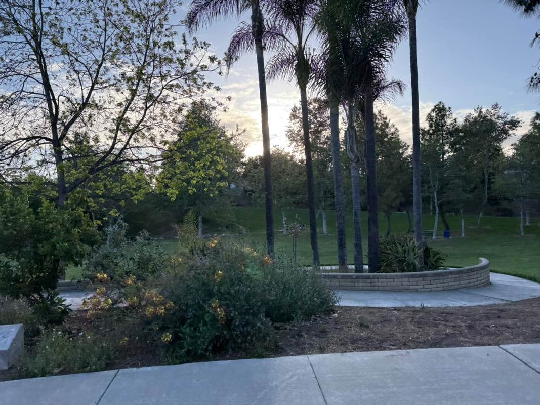 walking near me in Northmont Park in spring