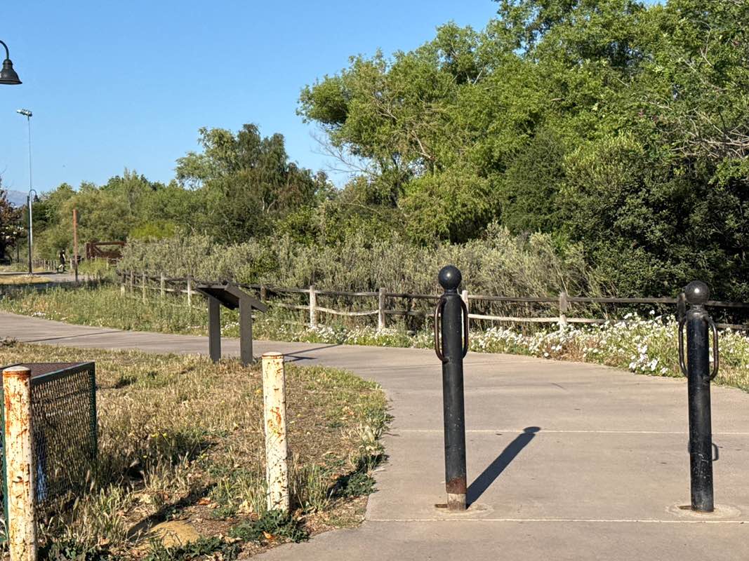 walking near me in Town Center Community Park in spring