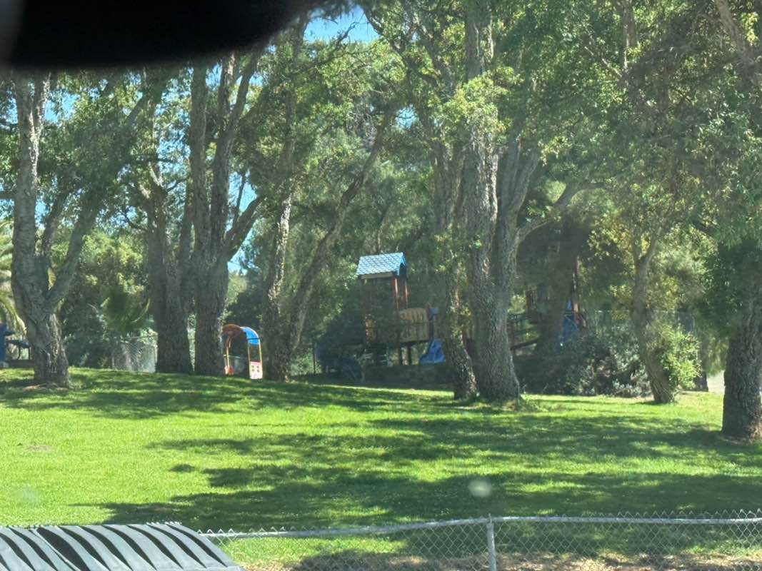 walking near me in Highwood Park in spring
