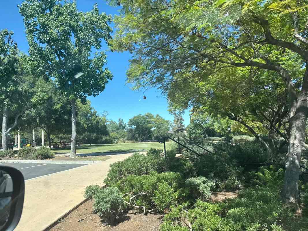 walking near me in Shadow Hills Park in summer
