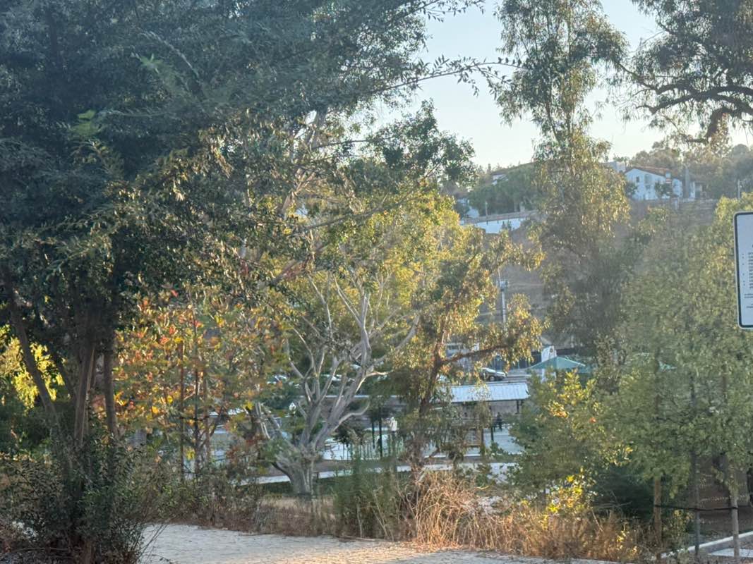 walking near me in Collier Park in autumn