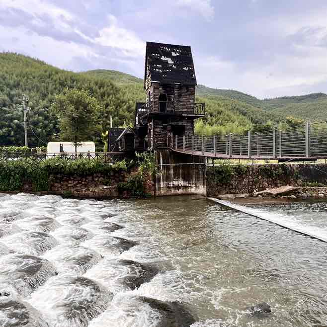 25 GP Asia Fin Fitness Challenge lily post image