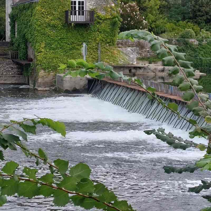 Thierry 🇫🇷🐈🐈‍⬛ post 2