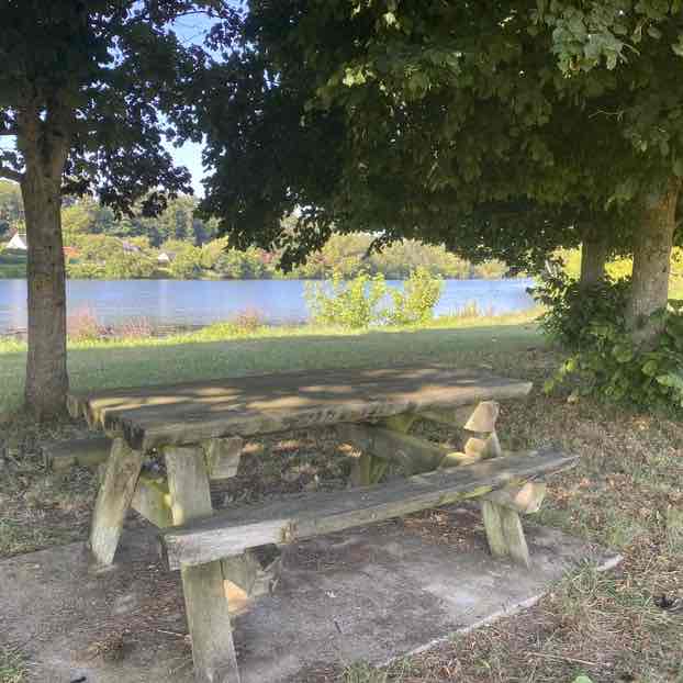 Thierry 🇫🇷🐈🐈‍⬛ post 2