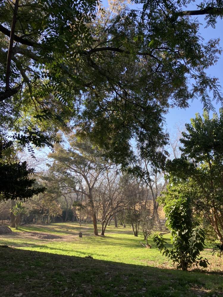 walking near me in Delta Park in winter