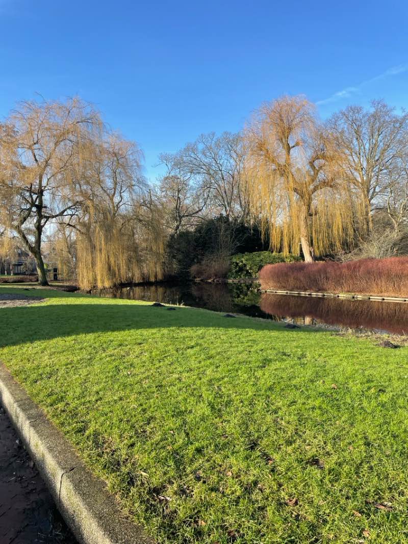 walking near me in Meanderpark in winter