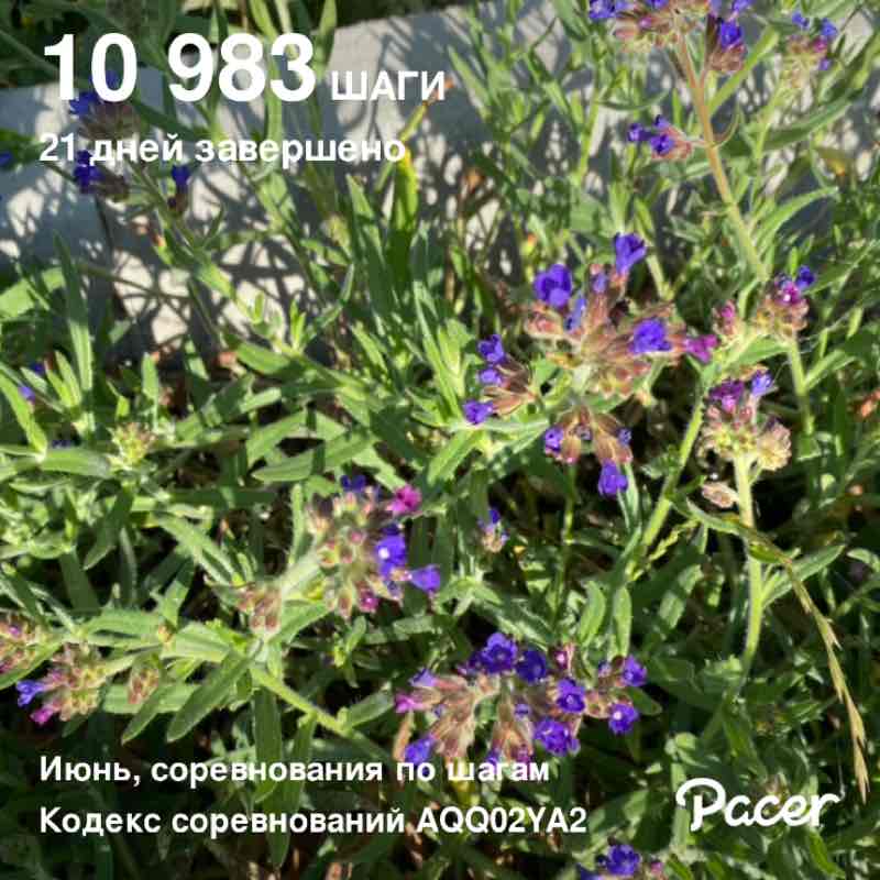 Светлана post 1