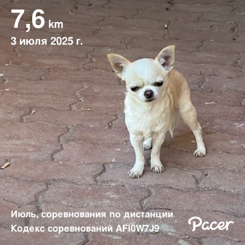 Светлана post 1