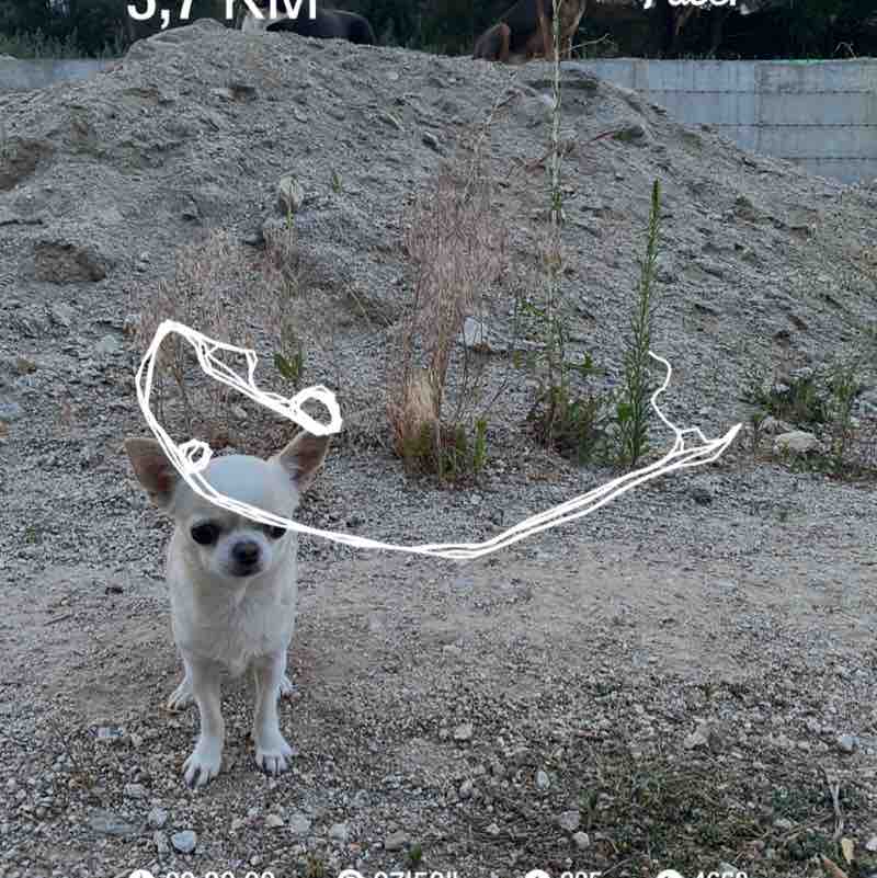 Светлана post 1