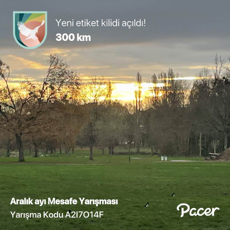 Ayhan post 1
