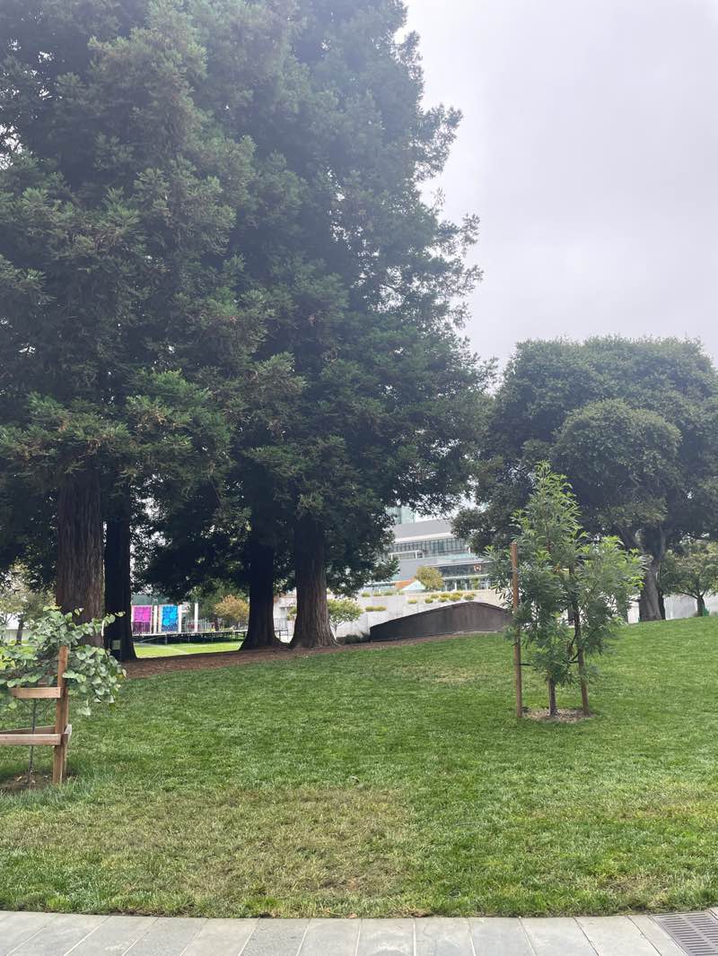 walking near me in Yerba Buena Gardens in autumn