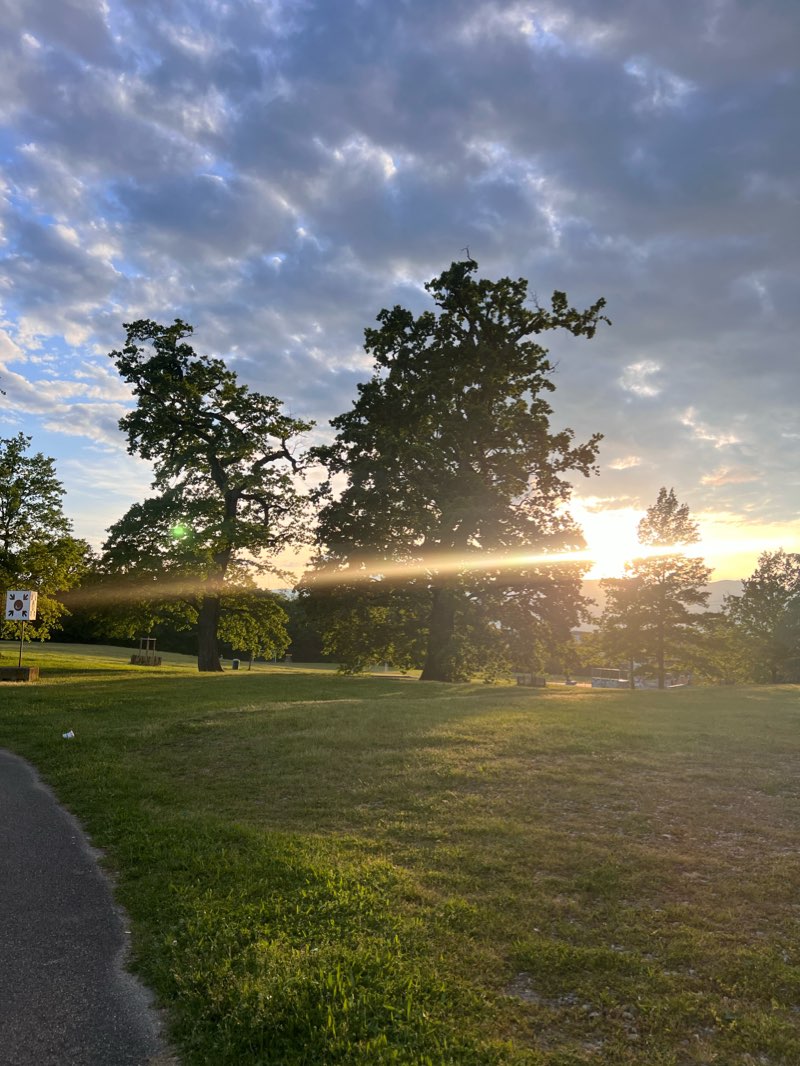 walking near me in Parc Sarasin in winter