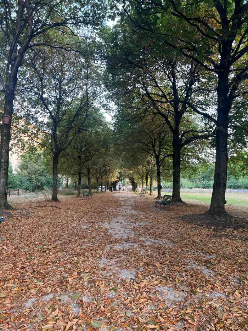 walking near me in Parc Beaulieu in autumn