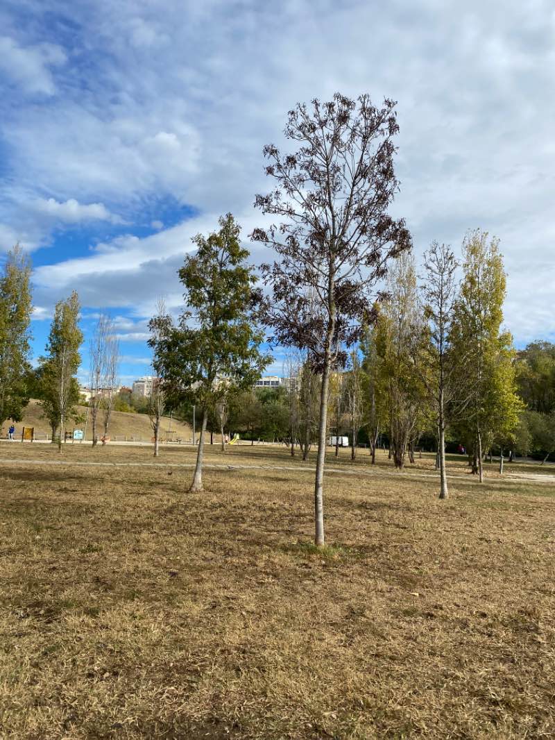 walking near me in Parc de Vallparadís in winter