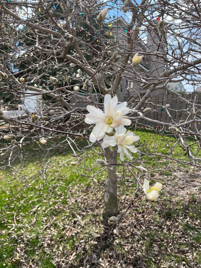 walking near me in Crandall Park in winter