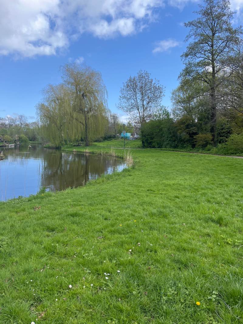 walking near me in Stadspark in winter