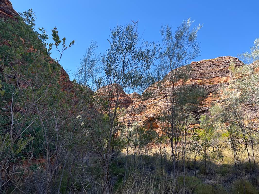 walking near me in Purnululu National Park in summer