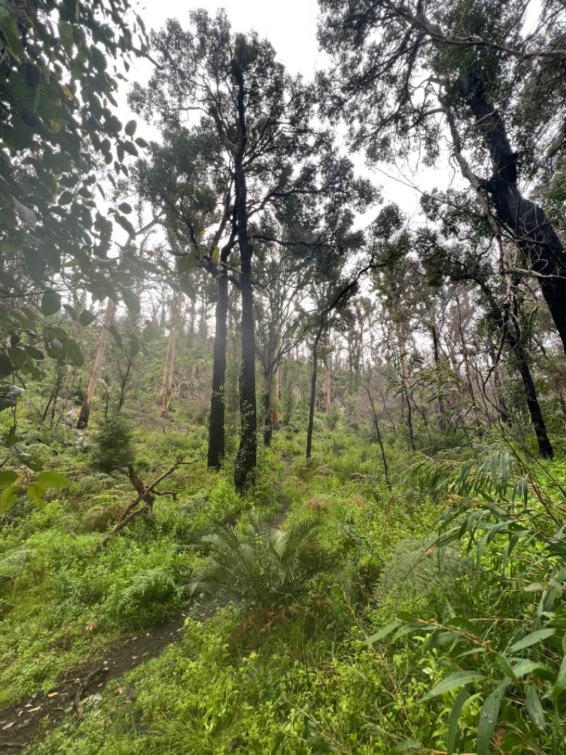 walking near me in Leeuwin-Naturaliste National Park in summer