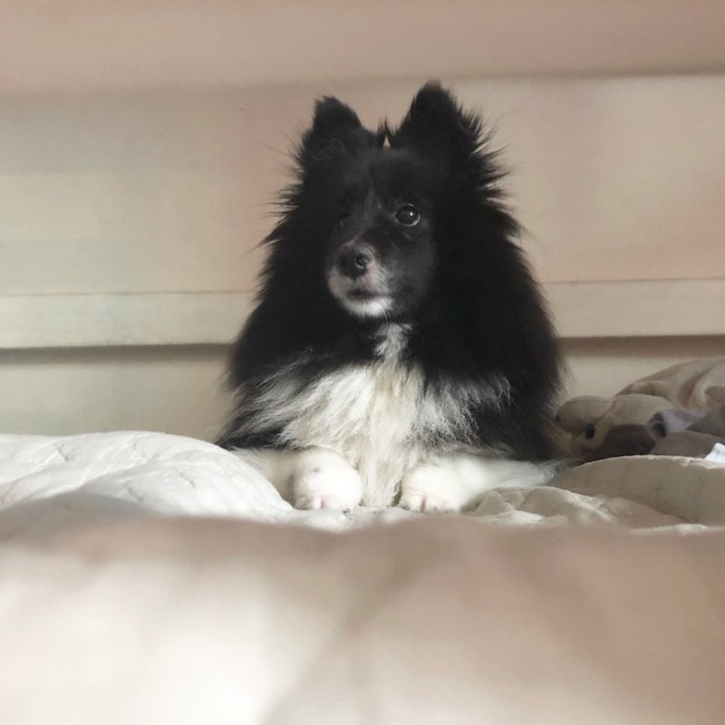 교무부 강지영 profile