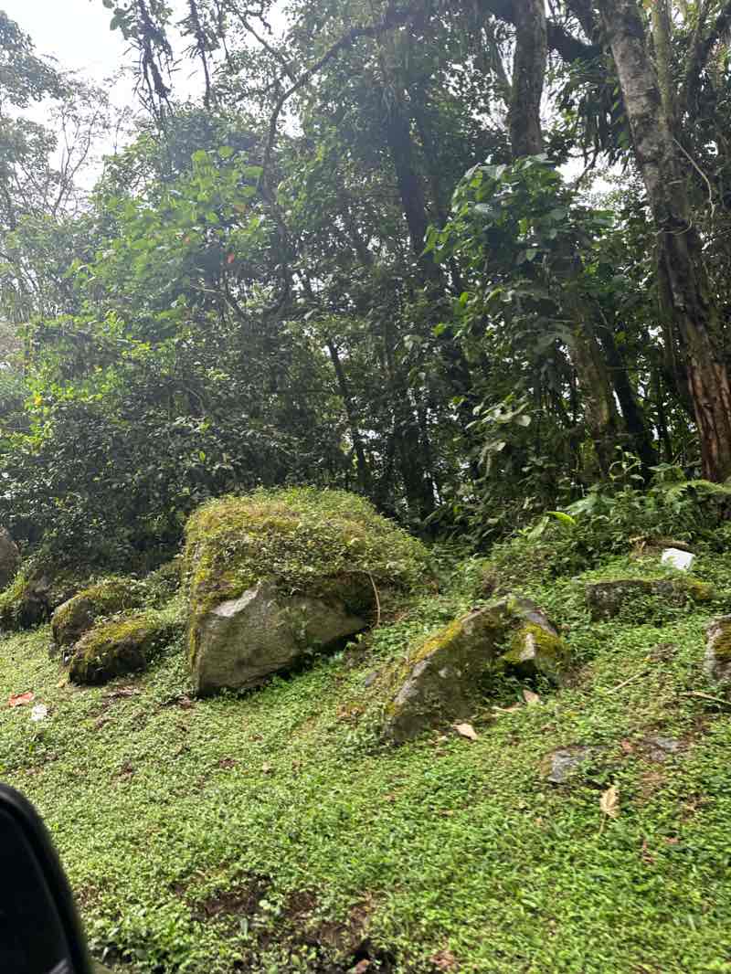 walking near me in Parque Lineal La Presidenta in winter