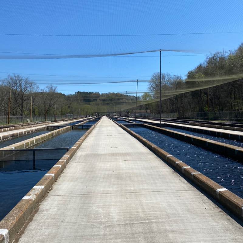 walking and talking👣🗣️ Henson post image