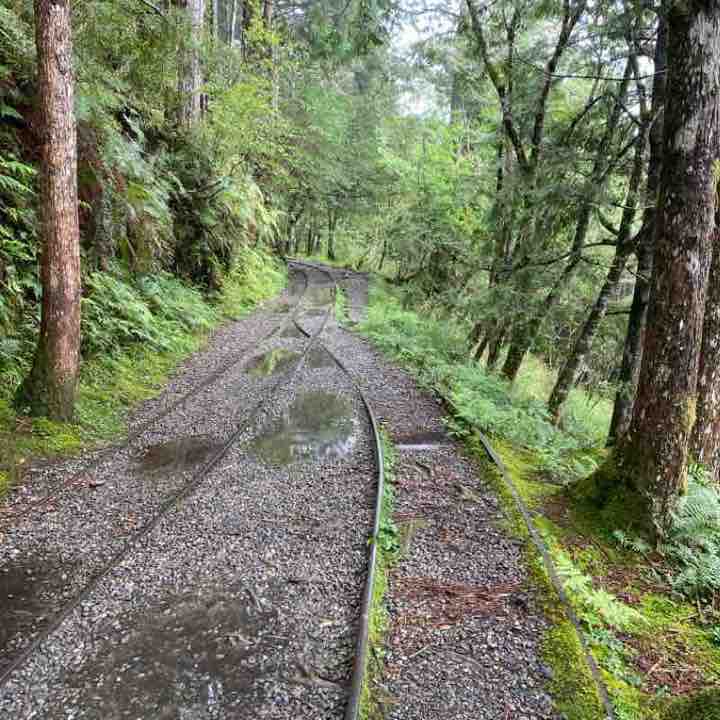 lin jensen 林建勝 post 2