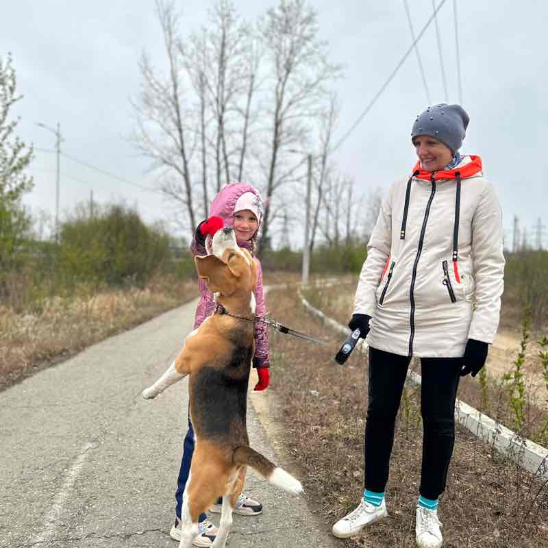 Сергей🐯 post 3