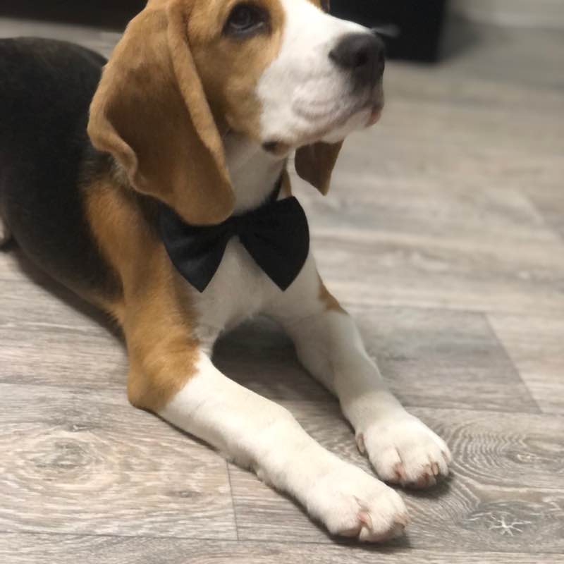 Сергей🐯 post 2