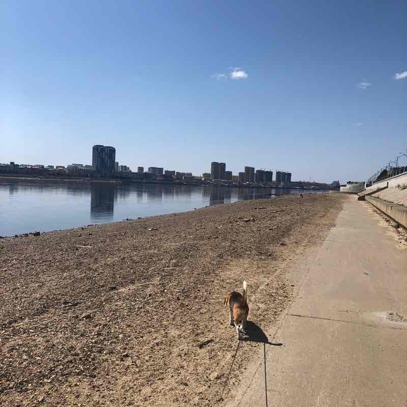 Сергей🐯 post 2