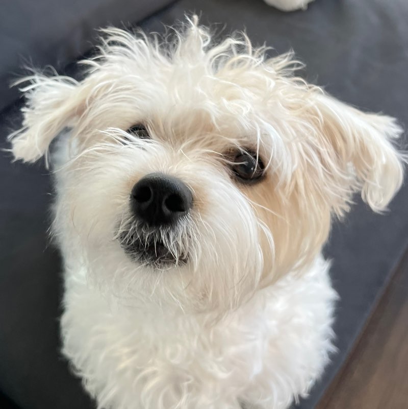 做你的loo profile