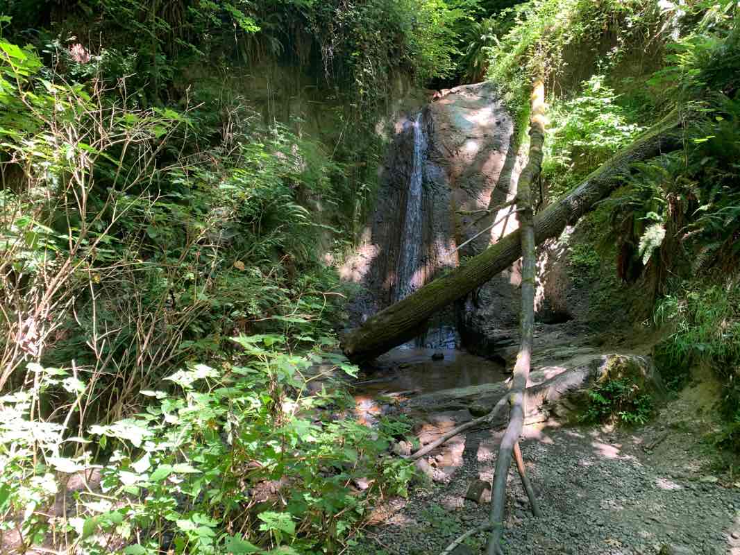 walking near me in Coal Creek Natural Area in winter